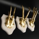 3 Stück Rehgeweihe goldene Rehgehörne weißen Schilder Geweih Reh bunt Deko Geschenk Idee 26.1.114