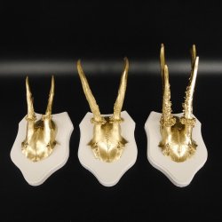 3 Stück Rehgeweihe goldene Rehgehörne weißen Schilder Geweih Reh bunt Deko Geschenk Idee 26.1.114