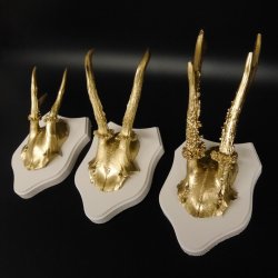 3 Stück Rehgeweihe goldene Rehgehörne weißen Schilder Geweih Reh bunt Deko Geschenk Idee 26.1.114