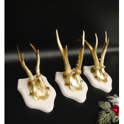 3 Stück Rehgeweihe goldene Rehgehörne weißen Schilder Geweih Reh bunt Deko Geschenk Idee 26.1.117