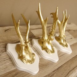3 Stück Rehgeweihe goldene Rehgehörne weißen Schilder Geweih Reh bunt Deko Geschenk Idee 26.1.117