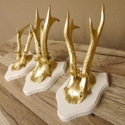3 Stück Rehgeweihe goldene Rehgehörne weißen Schilder Geweih Reh bunt Deko Geschenk Idee 26.1.117