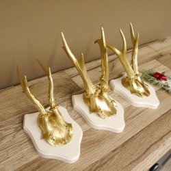 3 Stück Rehgeweihe goldene Rehgehörne weißen Schilder Geweih Reh bunt Deko Geschenk Idee 26.1.117