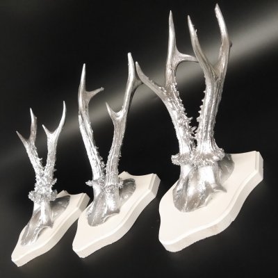 3 Stück Rehgeweihe silberne Rehgehörne weißen Schilder Geweih Reh bunt Deko Geschenk Idee 26.1.119