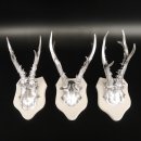 3 Stück Rehgeweihe silberne Rehgehörne weißen Schilder Geweih Reh bunt Deko Geschenk Idee 26.1.119
