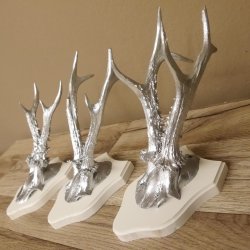 3 Stück Rehgeweihe silberne Rehgehörne weißen Schilder Geweih Reh bunt Deko Geschenk Idee 26.1.119