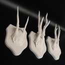 3 Stück Rehgeweihe weißen Rehgehörne weißen Schilder Geweih Reh bunt Deko Geschenk Idee 26.1.121