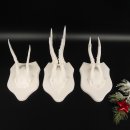 3 Stück Rehgeweihe weißen Rehgehörne weißen Schilder Geweih Reh bunt Deko Geschenk Idee 26.1.121
