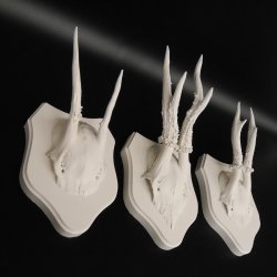 3 Stück Rehgeweihe weißen Rehgehörne weißen Schilder Geweih Reh bunt Deko Geschenk Idee 26.1.121