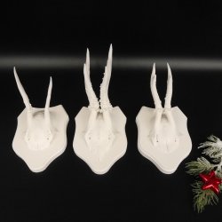3 Stück Rehgeweihe weißen Rehgehörne weißen Schilder Geweih Reh bunt Deko Geschenk Idee 26.1.121