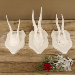 3 Stück Rehgeweihe weißen Rehgehörne weißen Schilder Geweih Reh bunt Deko Geschenk Idee 26.1.121