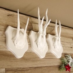 3 Stück Rehgeweihe weißen Rehgehörne weißen Schilder Geweih Reh bunt Deko Geschenk Idee 26.1.121