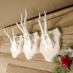 3 Stück Rehgeweihe weißen Rehgehörne weißen Schilder Geweih Reh bunt Deko Geschenk Idee 26.1.121