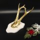 1 Stück Rehgeweih goldenes Rehgehörn weißen Schild Geweih Reh bunt Deko Geschenk Idee 26.1.125