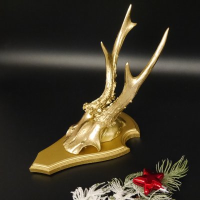 1 Stück Rehgeweih goldenes Rehgehörn golden Schild Geweih Reh bunt Deko Geschenk Idee 26.1.126