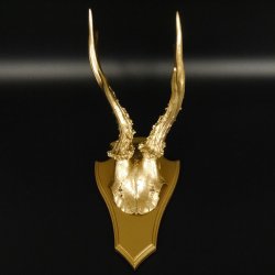 1 Stück Rehgeweih goldenes Rehgehörn golden Schild Geweih Reh bunt Deko Geschenk Idee 26.1.126