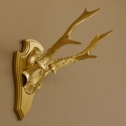 1 Stück Rehgeweih goldenes Rehgehörn golden Schild Geweih Reh bunt Deko Geschenk Idee 26.1.126