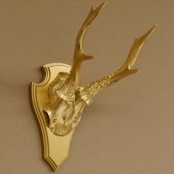 1 Stück Rehgeweih goldenes Rehgehörn golden Schild Geweih Reh bunt Deko Geschenk Idee 26.1.126