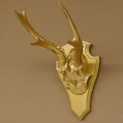 1 Stück Rehgeweih goldenes Rehgehörn golden Schild Geweih Reh bunt Deko Geschenk Idee 26.1.126