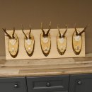 Geweih Garderobe 5 Akazienschilder mit Rehgeweihe Wandgarderobe Doppelhaken 27.8.66