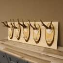 Geweih Garderobe 5 Akazienschilder mit Rehgeweihe Wandgarderobe Doppelhaken 27.8.66