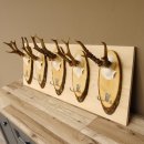 Geweih Garderobe 5 Akazienschilder mit Rehgeweihe Wandgarderobe Doppelhaken 27.8.66