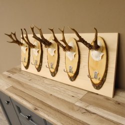 Geweih Garderobe 5 Akazienschilder mit Rehgeweihe Wandgarderobe Doppelhaken 27.8.66