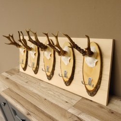 Geweih Garderobe 5 Akazienschilder mit Rehgeweihe Wandgarderobe Doppelhaken 27.8.66