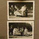 Holzkopf Hirsch antik ungerader 14 ender echte Stangen Holz Kopf Geweih