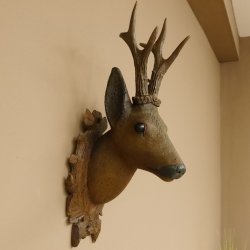 Holzkopf Rehbock antik Jahreszahl 1868 Holz Kopf Geweih geschnitztem Trophäenschild