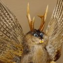 Wolpertinger Wolpi groß Bisam Präparat blaue Augen mit Flügel Geweih Stock Laterne Höhe 43 cm Fabelwesen Gaudi Geschenk