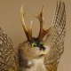Wolpertinger Wolpi groß Bisam Präparat hellgrüne Augen mit Flügel Geweih Stock Laterne Höhe 43 cm Fabelwesen Gaudi Geschenk 86.14.4