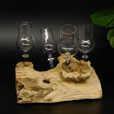 Schnapsanbieter 4 Gläser mit Stil auf Wurzel Steckglas Set Schnaps Geschenk Neu #27.60.1.10