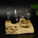 Schnapsanbieter 4 Gläser mit Stil auf Wurzel Steckglas Set Schnaps Geschenk Neu #27.60.1.10