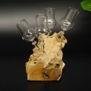 Schnapsanbieter 4 Gläser mit Stil auf Wurzel Steckglas Set Schnaps Geschenk Neu #27.60.1.10