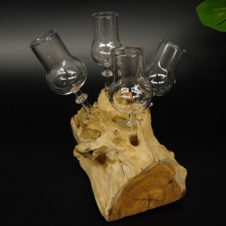 Schnapsanbieter 4 Gläser mit Stil auf Wurzel Steckglas Set Schnaps Geschenk Neu #27.60.1.10
