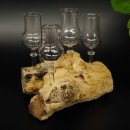 Schnapsanbieter 4 Gläser mit Stil auf Wurzel Steckglas Set Schnaps Geschenk Neu #27.60.1.8
