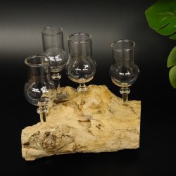 Schnapsanbieter 4 Gläser mit Stil auf Wurzel Steckglas Set Schnaps Geschenk Neu #27.60.1.8