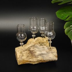 Schnapsanbieter 4 Gläser mit Stil auf Wurzel Steckglas Set Schnaps Geschenk Neu #27.60.1.8