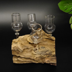 Schnapsanbieter 4 Gläser mit Stil auf Wurzel Steckglas Set Schnaps Geschenk Neu #27.60.1.9