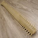 Sägefisch Rostrum mit 62 Zähne Länge 122cm Präparat Sägerochen