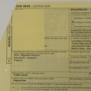 Sägefisch Rostrum mit 62 Zähne Länge 122cm Präparat Sägerochen