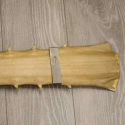 Sägefisch Rostrum mit 62 Zähne Länge 122cm Präparat Sägerochen