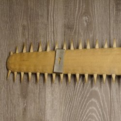 Sägefisch Rostrum mit 62 Zähne Länge 122cm Präparat Sägerochen