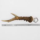 Flesopener Opener Ree Gewei Staaf Hoorn Afwerpstaaf Lengte 27 cm 27.1.418