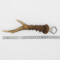 Flesopener Opener Ree Gewei Staaf Hoorn Afwerpstaaf Lengte 27 cm 27.1.418