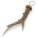 Abridor de botellas Abridor Cuerno de ciervo Barra de cuerno Barra desprendible Longitud 27 cm 27.1.419