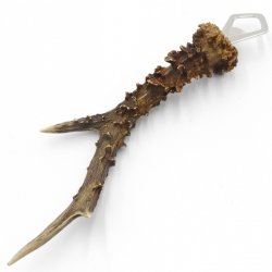 Abridor de botellas Abridor Cuerno de ciervo Barra de cuerno Barra desprendible Longitud 27 cm 27.1.419