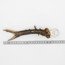 Abridor de botellas Abridor Cuerno de ciervo Barra Cuerno...