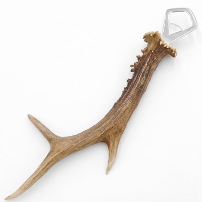 Décapsuleur Décapsuleur Bois de cerf Corne Corne de ramure Longueur 28 cm 27.1.424
